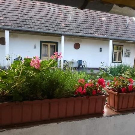 Hotel Terez Haza Pazmand Zewnętrze zdjęcie