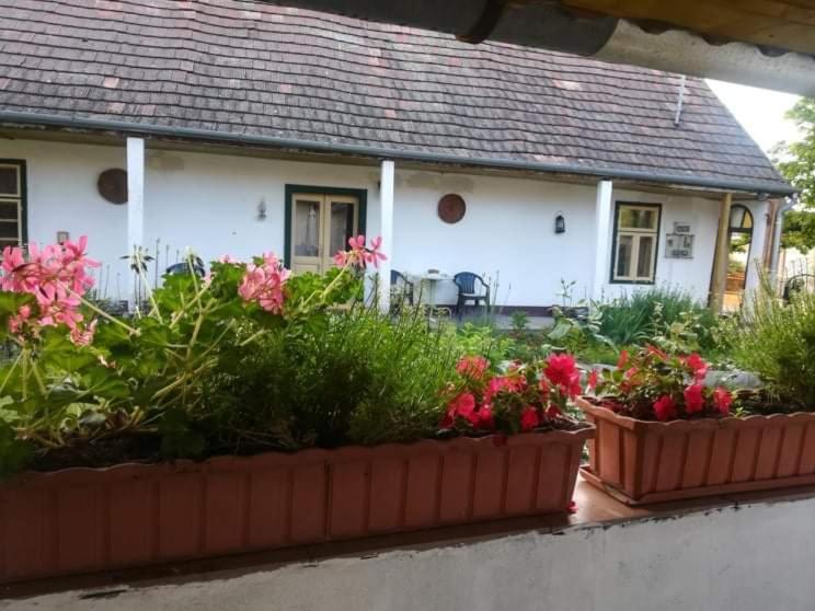 Hotel Terez Haza Pazmand Zewnętrze zdjęcie